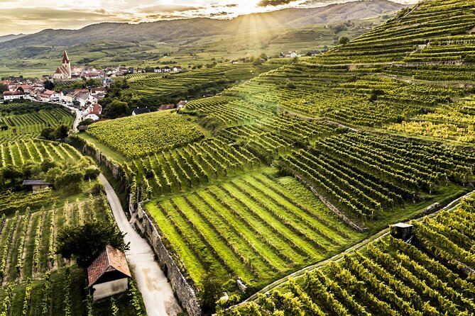 3 Castles & Wine Private Tour in Wachau Valley (incl. Melk Abbey) - Stift Melk Abbey: Baroque church, terrace views, and the payoff