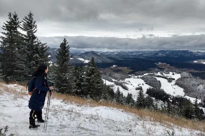 4-Hour Private Alpine Great George at High Wall Mountain from Vienna - Key highlights worth knowing
