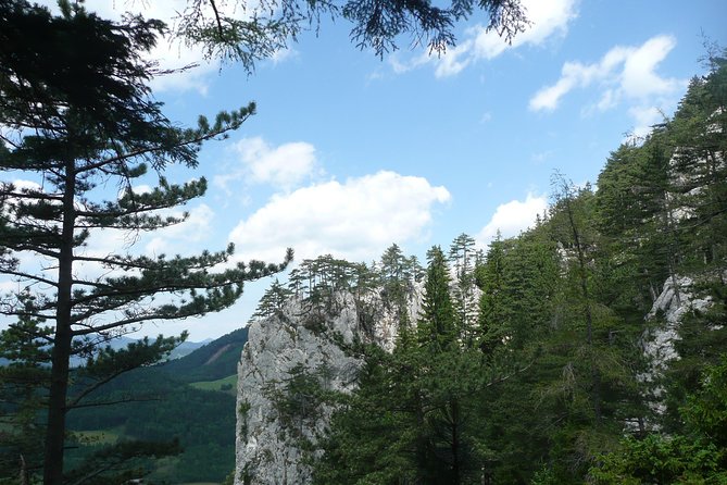 4-Hour Private Alpine Great George at High Wall Mountain from Vienna - Hohe Wand’s Great Gorge: quiet alpine hiking close to Vienna