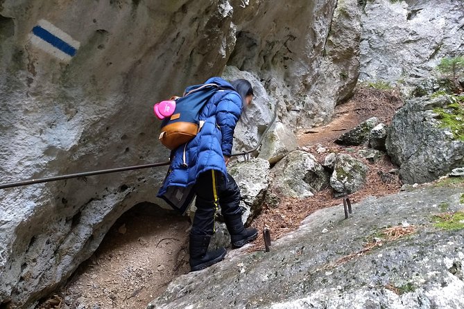 4-Hour Private Alpine Great George at High Wall Mountain from Vienna - Getting to the trail: Vienna’s Hauptbahnhof, a real start time, and shared transport