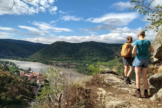 4-Hour Private Alpine Hiking Tour 'In the footsteps of king Lionheart' - From Vienna Hauptbahnhof to Dürnstein, and why the transfer matters