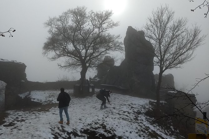 4-Hour Private Alpine Hiking Tour 'In the footsteps of king Lionheart' - English guide, history cues, and nature moments that feel connected