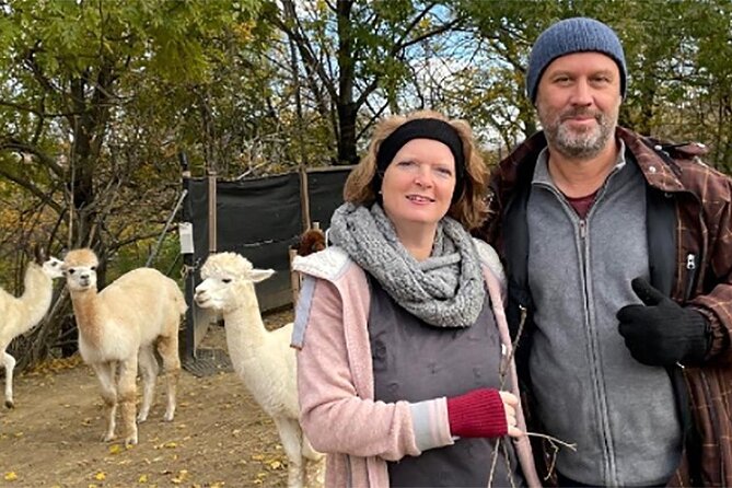 Alpaca and llama hike Moedling near Vienna - Walking to Eichkogel: what the 2 hours feels like