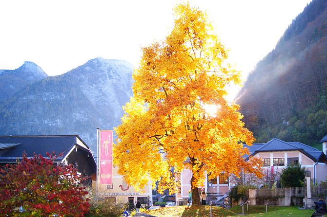 Alpine Hallstatt Day Trip from Vienna incl. Admont Abbey Visit - The bus day reality: timing, comfort, and what to expect
