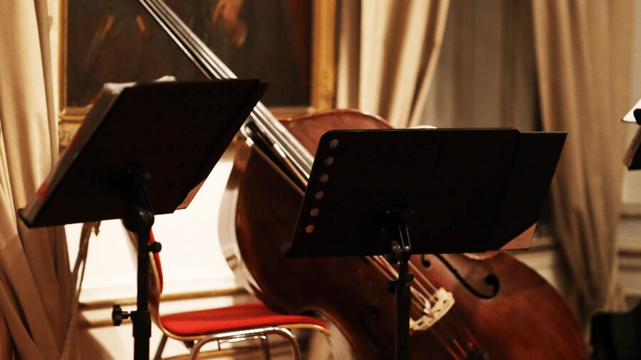 Best of Mozart & Strauss - What you’ll hear: Mozart energy, Strauss swagger, and a crowd-pleasing finale