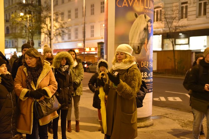 Christmas Market Vienna Tour - Crowds, cold air, and how to dress so the tour feels fun