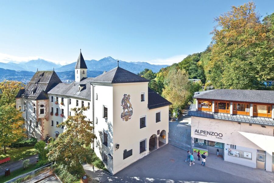 Combi Entrance Ticket to Alpine Zoo and Hungerburg - Key Highlights You Should Actually Care About