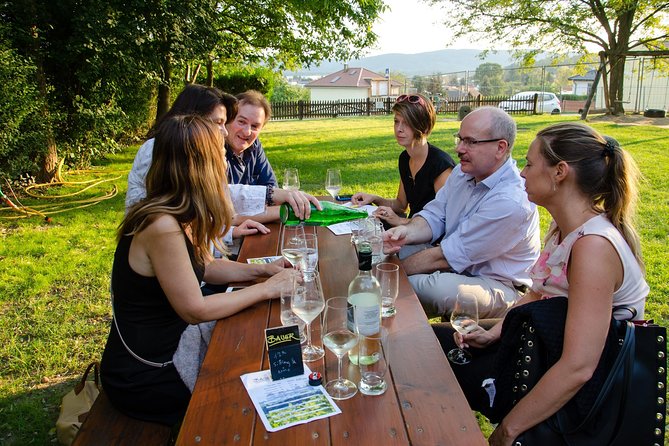 Countryside Half Day Wine Tour near Vienna - Key Highlights You Should Know