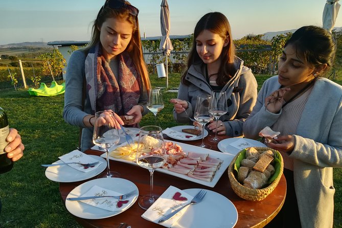 Countryside Half Day Wine Tour near Vienna - Winery Stops and Tastings: Up to 12 Glasses Without the Feeling of a Scam
