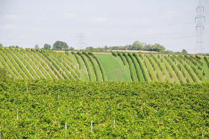 Countryside Half Day Wine Tour near Vienna - Value for Your Money: What You Get for $145.12