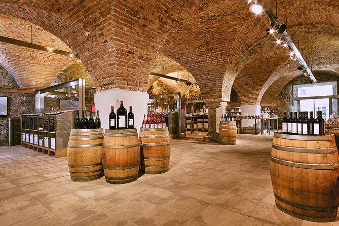 E-Bike Wine Culture Tour - Wine tasting reality check: included, but not a full meal