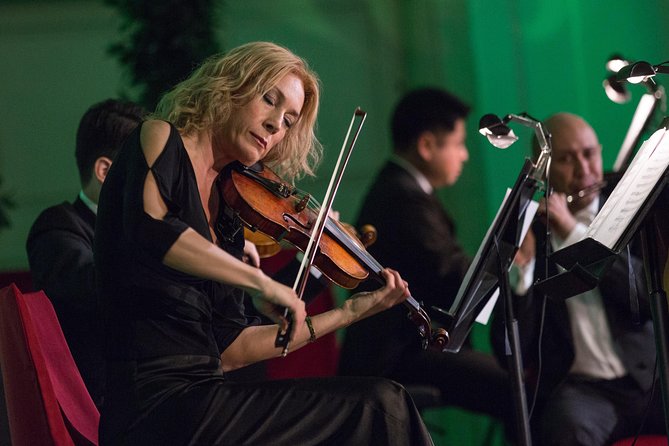 Exclusive Evening at Schönbrunn Palace: After-Hours Audiotour, Dinner, Concert - Dinner near Schönbrunn: Austrian 3-course comfort, with mixed experiences