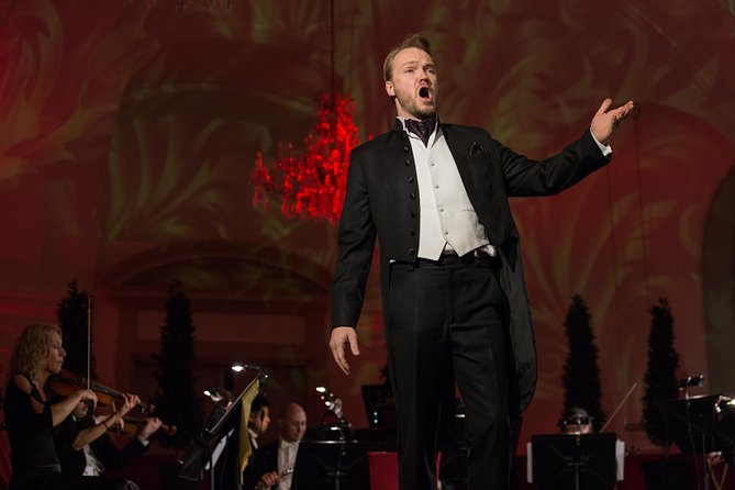 Exclusive Evening at Schönbrunn Palace: After-Hours Audiotour, Dinner, Concert - Arrival reality: meeting point confusion and how to avoid it