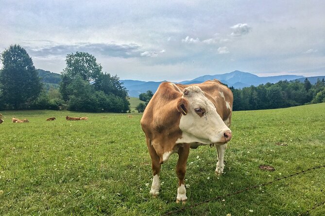 Exploring the Gutenstein Alps - Key Things I’d Bet You’ll Enjoy