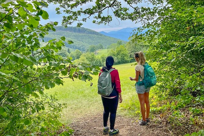 Exploring the Gutenstein Alps - Why This Gutenstein Alps Hike Feels Like a Real Escape