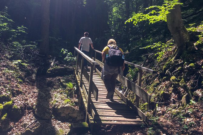 Exploring the Gutenstein Alps - Waterfalls, Then the Steep Hill That Means Business