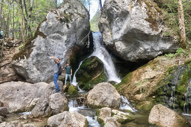 Exploring the Gutenstein Alps - Down Again on Country Roads: Pastures, and Possible Cows or Horses