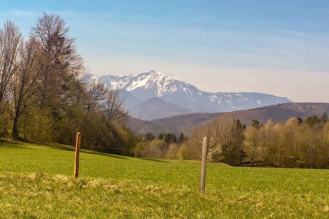 Exploring the Gutenstein Alps - Group Size, Guide Style, and Why It Makes the Hike Easier