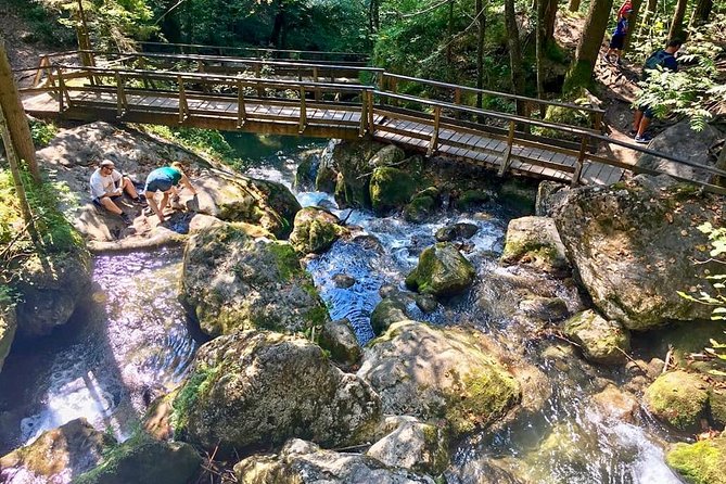 Exploring the Gutenstein Alps - Fitness Check: The Numbers Behind That 3-Hour Walk