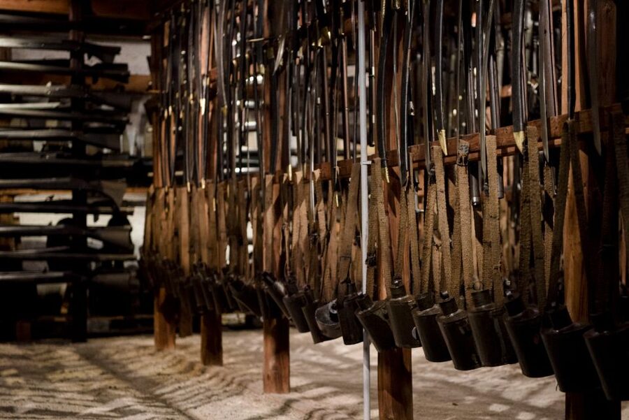 Forchtenstein Castle Admission Ticket & Optional Guided Tour - Start in the inner courtyard, then let the secco murals set the tone