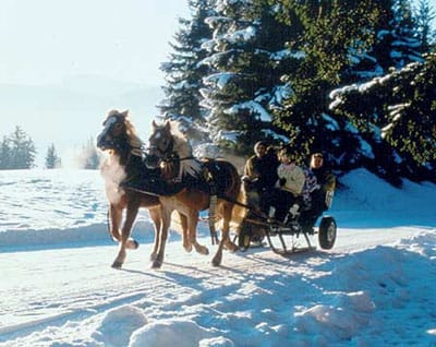 From Salzburg: 8-hour Horse-Drawn Tour w/ 2-hour Sleigh Ride - Key things you will remember from Ramsau am Dachstein