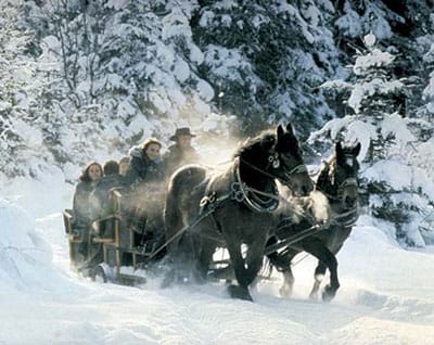 From Salzburg: 8-hour Horse-Drawn Tour w/ 2-hour Sleigh Ride - The big idea: horses, snow, and the Dachstein backdrop