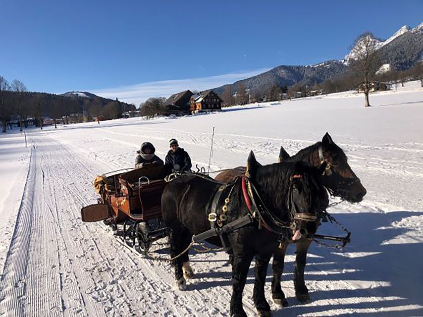 From Salzburg: 8-hour Horse-Drawn Tour w/ 2-hour Sleigh Ride - Who this tour fits best