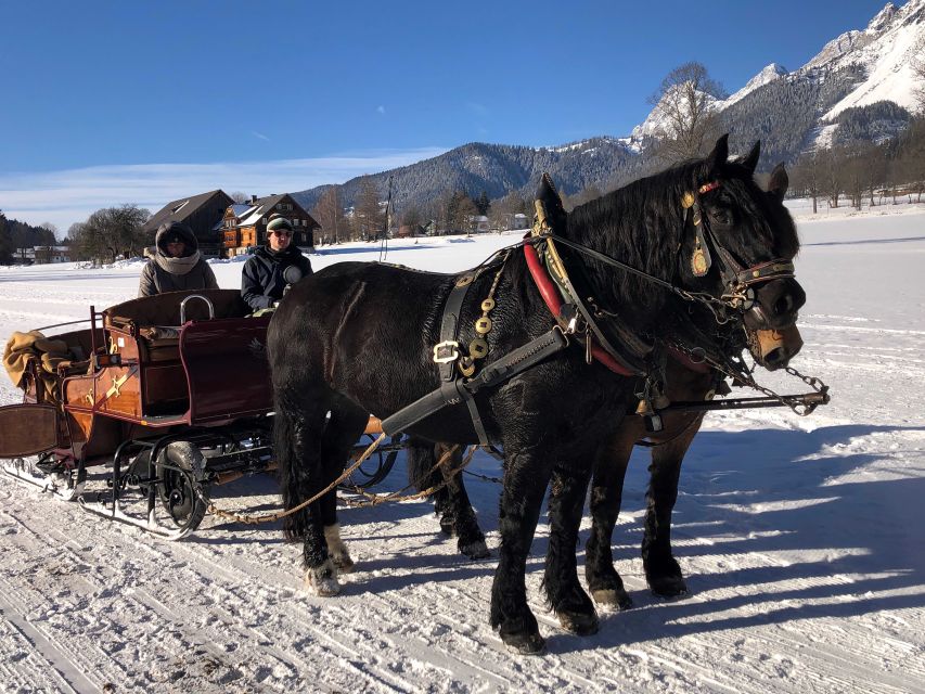 From Salzburg: 8-hour Horse-Drawn Tour w/ 2-hour Sleigh Ride - Salzburg pickup at Mirabellplatz, then straight for the Alps