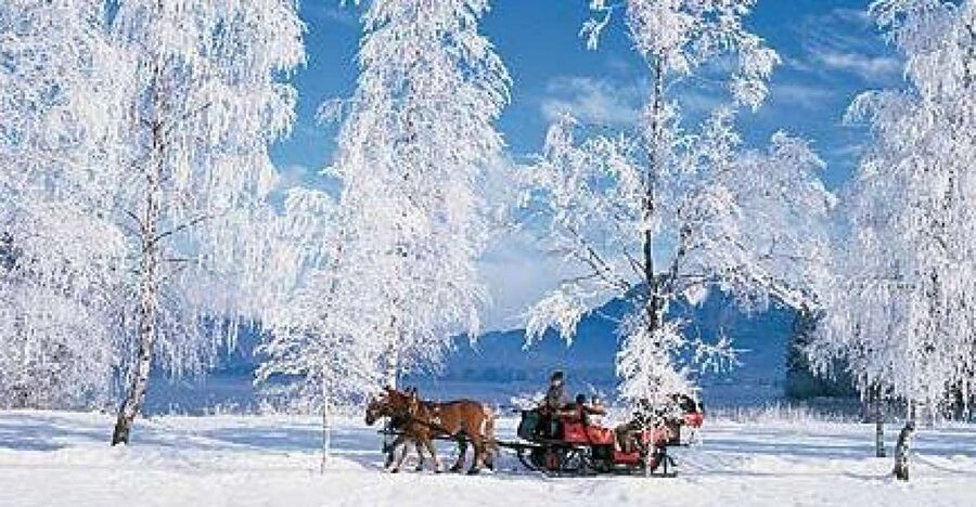From Salzburg Romantic Carriage Ride through the Countryside - The Main Event: Sleigh or Carriage Ride Through the Winter Countryside