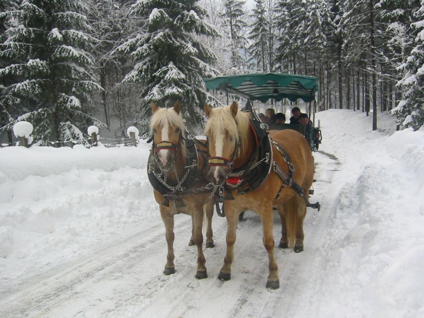 From Salzburg Romantic Carriage Ride through the Countryside - How the 4-Hour Format Works (So You Don’t Feel Rushed)