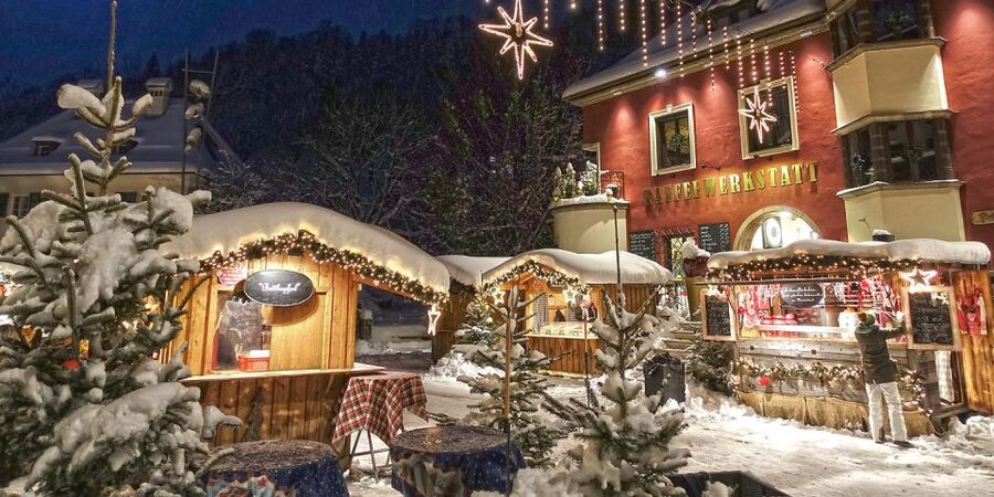 From Salzburg Romantic Carriage Ride through the Countryside - Price and Value: Is $883 per Group Up to 8 Worth It?