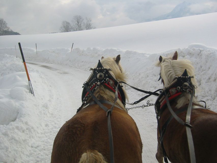 From Salzburg Romantic Carriage Ride through the Countryside - Who This Salzburg Carriage Ride Suits Best, and Who Should Skip It