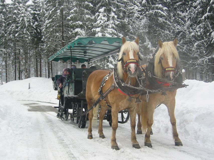 From Salzburg Romantic Carriage Ride through the Countryside - Practical Tips for a Comfortable Ride in Cold Weather