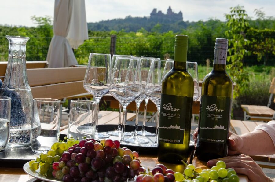 From Vienna: Half-day Countryside Wine Tour with Meal - Why Weinviertel works for a Vienna wine break
