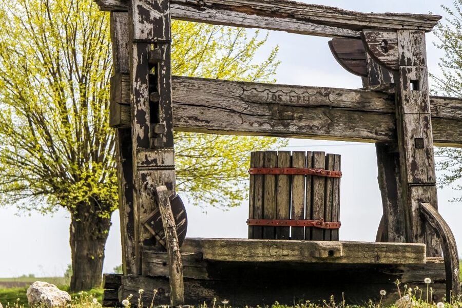 From Vienna: Half-day Countryside Wine Tour with Meal - Guides, group size, and why up to 16 feels right