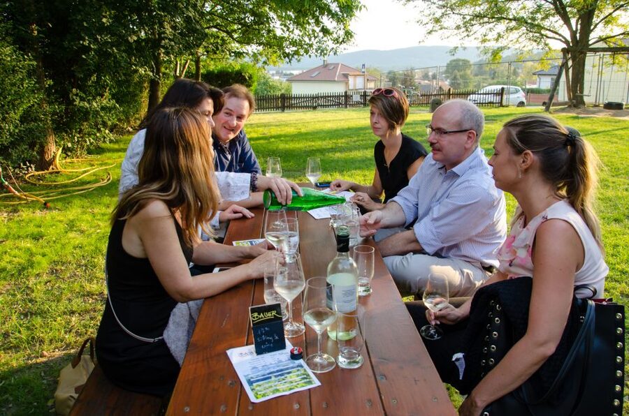 From Vienna: Half-day Countryside Wine Tour with Meal - Price and value: what $141 buys you in real terms