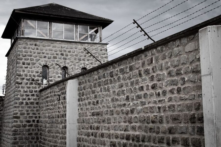 From Vienna: Mauthausen Memorial Private Day Trip - Should You Book It?