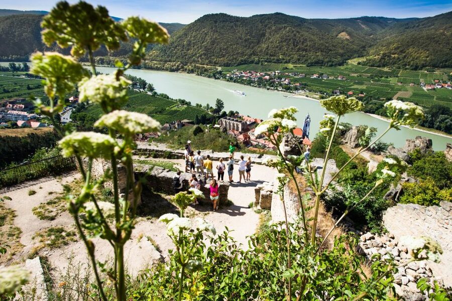 From Vienna: Wachau Valley Day Tour with Wine Tasting - Danube Cruise from Spitz to Melk: The Relaxation Moment (or Abbey When the River Changes)
