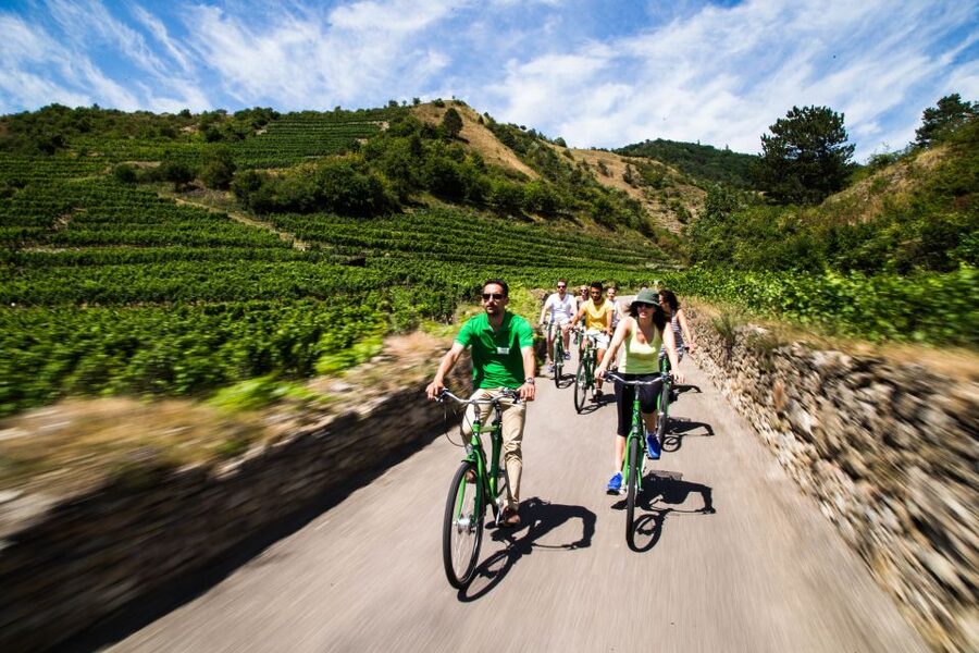 Grape Grazing: Wachau Valley Winery Biking Tour - Key points at a glance
