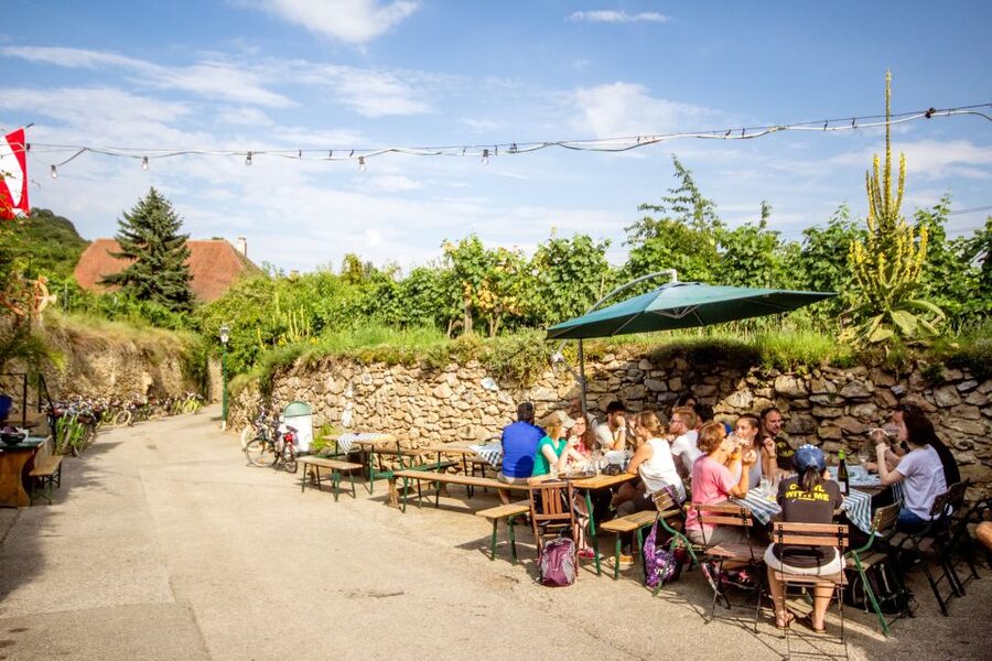 Grape Grazing: Wachau Valley Winery Biking Tour - Bicycles and effort level, what you can realistically expect