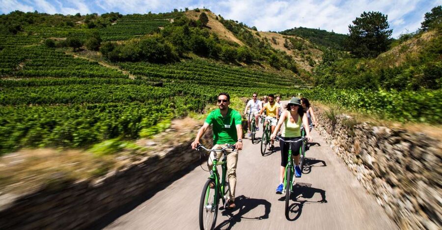 Grape Grazing: Wachau Valley Winery Biking Tour - Why the Wachau Valley works so well by bike