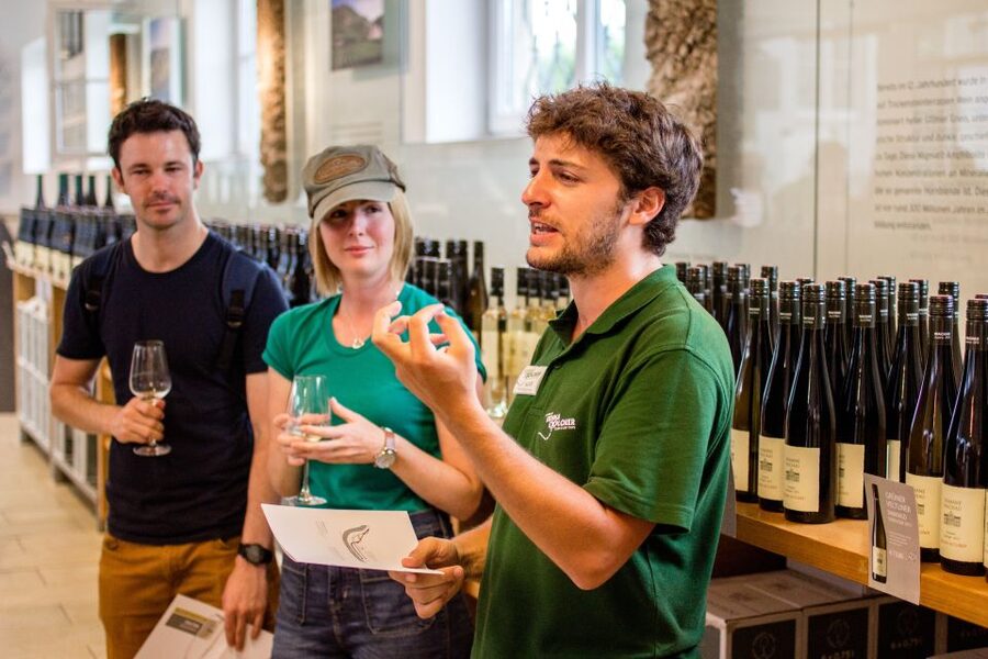 Grape Grazing: Wachau Valley Winery Biking Tour - Weather proofing: ponchos, timing, and what to bring