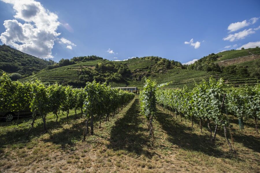Grape Grazing: Wachau Valley Winery Biking Tour - The Vienna-to-Krems train start, then a gentle first pedal