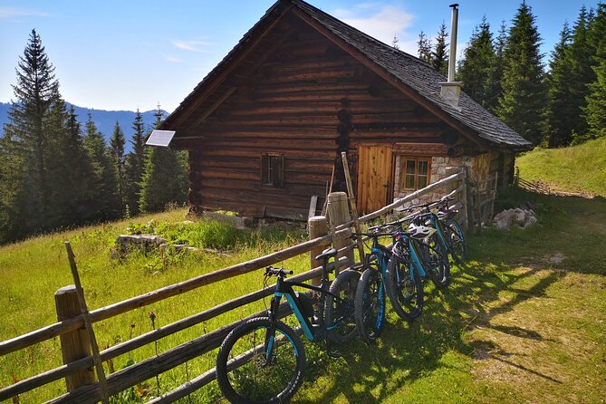 Guided e-bike tour of the alpine pastures in the Salzkammergut - Stop-by-stop: Iglmoosalm, Plankensteinalm, and the Alm break rhythm