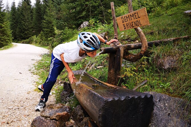 Guided e-bike tour of the alpine pastures in the Salzkammergut - Roßalm to Gosauseen: where the route turns into pure payoff