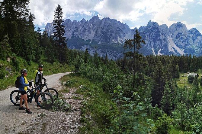Guided e-bike tour of the alpine pastures in the Salzkammergut - Price and what you’re getting for $195.50