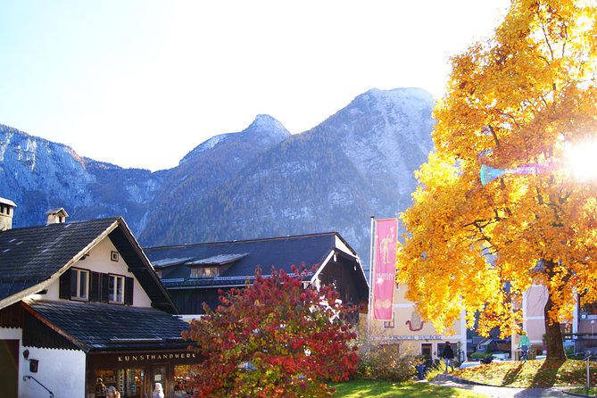 Hallstatt Guided Day Trip from Vienna With Boat Ride Option - Why this Vienna to Hallstatt day trip works