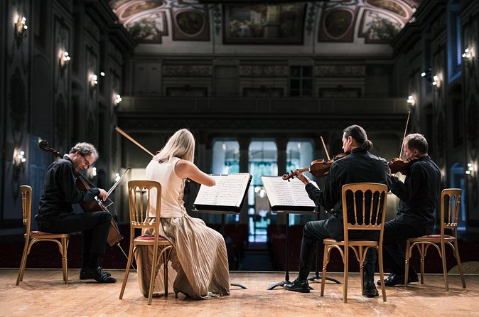 Haydn Quartett in the Musikverein (Brahms Hall) - Is the $34.92 price really good value?