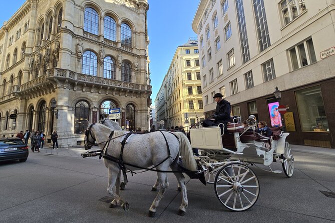 Highlights of Vienna in a Historical & Cultural 3h Walking Tour - St Stephen’s Cathedral: medieval bones in the center of it all