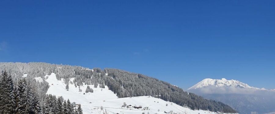 Innsbruck: Christmas Tour with a licensed guide - Key highlights worth planning around